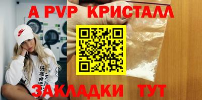 не бодяженный Кингисепп