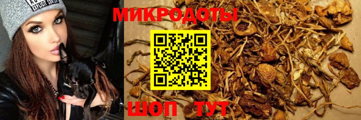 Барабинск  Галлюциногенные грибы мухоморы  Вход с VPN 